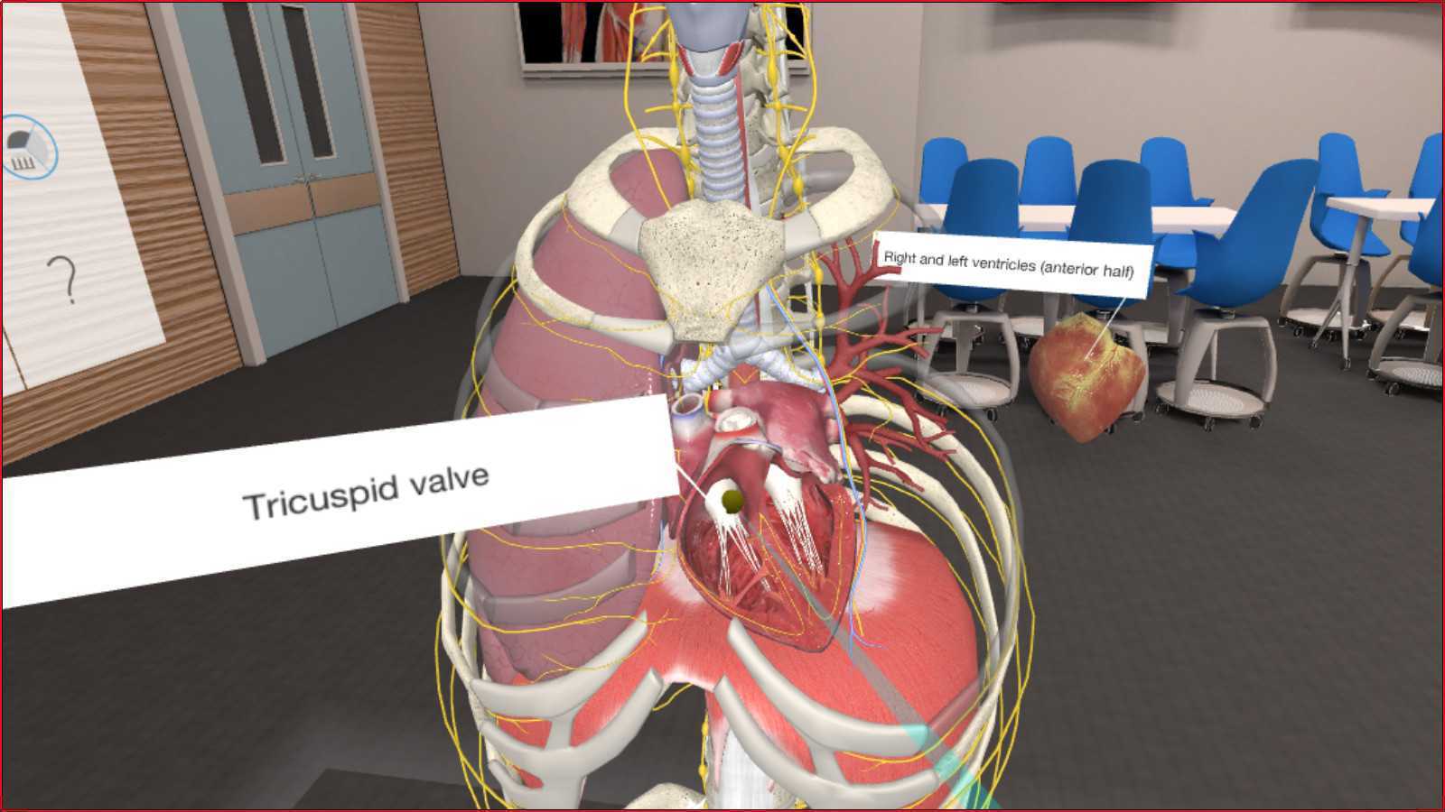 3D Organon VR 人体解剖学- Oculus Quest游戏-游戏网